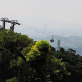 貓空遠眺台北城 走步道、茗茶、吃美食再加「這一特色」！