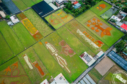 桃園大溪「花彩盛艷」展數大花海與圖騰 拍美照農遊「趣」！