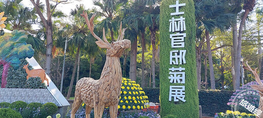 2024士林官邸菊展 15萬盆菊花爭豔，同時賞花還能逛動物園？