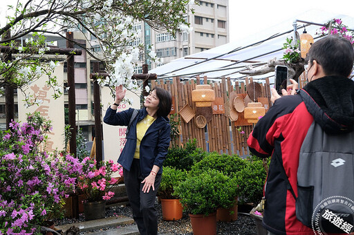 北台灣杜鵑花季 別錯過大安森林公園、萬里及金山三大秀場！