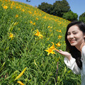 母親節應景賞花遊 西台灣不能錯過四處金針花海