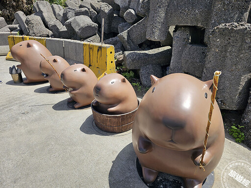 漫遊深澳漁港 賞水豚 嚐海鮮 體驗海釣樂趣