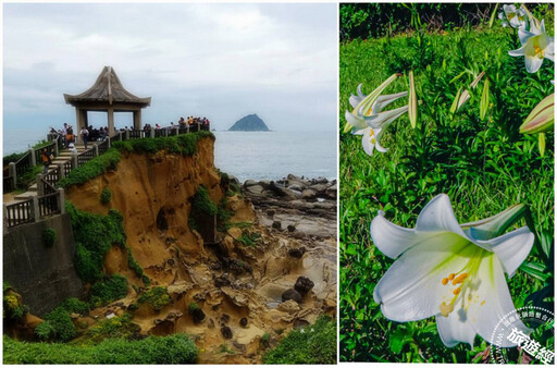 「和平島」限定花海美景 「2025 四季旅行票」＄299玩四次，還有機會獲沖繩免費來回機票