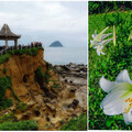 「和平島」限定花海美景 「2025 四季旅行票」＄299玩四次，還有機會獲沖繩免費來回機票