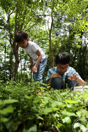 「雲品」夏「暑」人了！ 推限定專案享12歲以下兒童免費入住！
