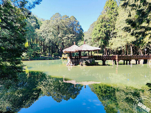 仲夏到阿里山避暑 搭乘台灣好行可抽東京來回機票及阿里山賓館住宿券！