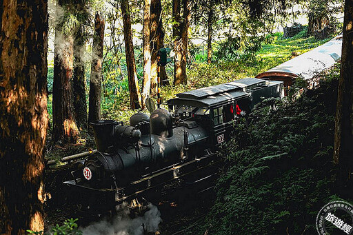 阿里山賓館推「鐵道秘境，山村小旅行」 邀遊5個經典車站美景！