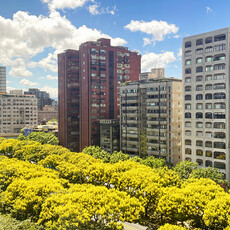 秋風吹拂欒樹 敦化南路成為最美街道，落下金雨盡顯浪漫