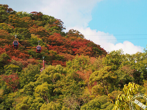 京板神賞楓「趣」，順道來場京阪神之旅 蒐羅「神戶」四大旅遊特點！