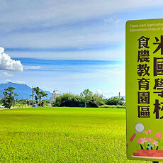 台東縱谷漫遊 秋收金黃稻浪VS知本暖湯，來場療癒身心的慢活之旅！