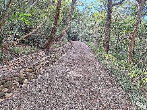 桃園大棟山「大湖坑」步道將開放 1.4公里「遊」煤礦產業及蜻蜓、豆娘生態！