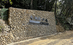 桃園大棟山「大湖坑」步道將開放 1.4公里「遊」煤礦產業及蜻蜓、豆娘生態！