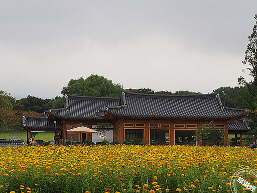 走進東海岸黃金三角，穿越韓國千年歲月 從新羅古都、工業巨人感受慶尚二都與蔚山風華！