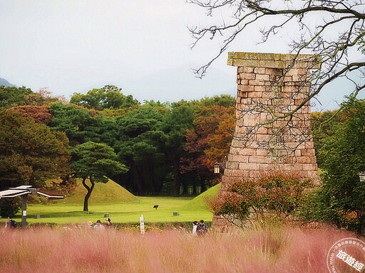走進東海岸黃金三角，穿越韓國千年歲月 從新羅古都、工業巨人感受慶尚二都與蔚山風華！