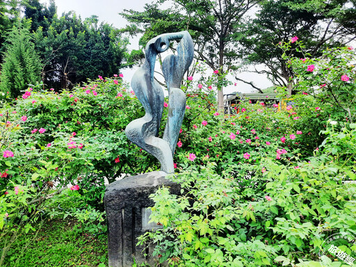 誰說冬天只能看葉賞草 在台北賞花除了士林官邸菊花展外，「這裡」的玫瑰也相映成趣！