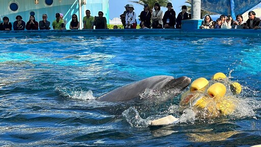 遠雄海洋公園攜手各界 培育守護海洋志工 共同推動海洋保育 守護鯨豚生態