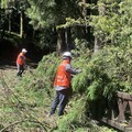 阿里山國家森林遊樂區 8/15上午8時恢復開園