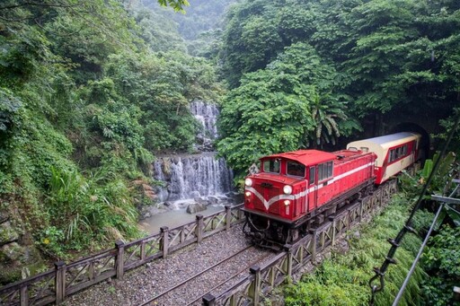 連假旅遊首選!搭阿里山小火車漫遊雲霧森林自然魅力、體驗特色列車