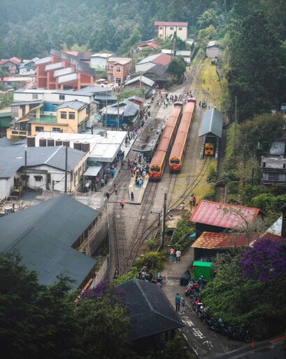連假旅遊首選!搭阿里山小火車漫遊雲霧森林自然魅力、體驗特色列車