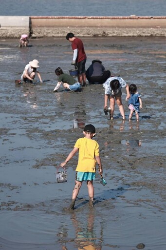 候鳥季來了,嘉縣文觀局推「鷺境嘉義」親子賞鳥、玩創意