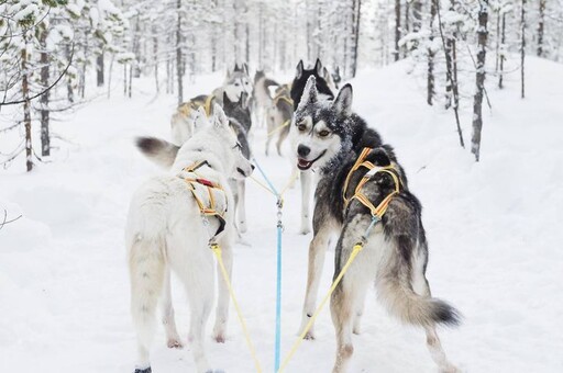 瑞典人的冬天都在做些什麼？8個日常活動 體驗美好的北歐生活