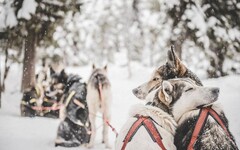 瑞典人的冬天都在做些什麼？8個日常活動 體驗美好的北歐生活