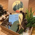 林業署推「聖誕．植森活」DIY 滿月圓做「柳杉之心」特別版聖誕樹