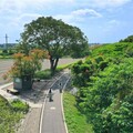 「糖鐵國家綠道」獲景觀大獎佳作 騎單車享愜意之旅
