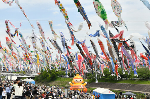1000條鯉魚旗在空中游泳！大阪高槻市最美夏日風物詩今天登場