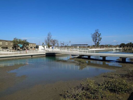 青鯤鯓扇鹽地景園區視野絕佳 近距離觀賞萌樣招潮蟹