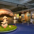 台灣首座菇類博物館「霧峰菇類產學館」 揭開你不知道的菇類知識