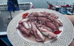 夏天就是要吃小卷！正當季各式小卷料理 就在深澳漁港