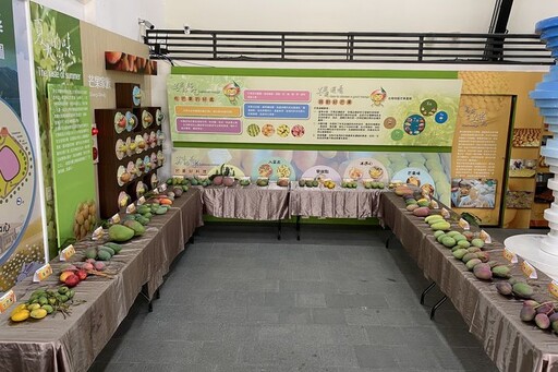 臺南南化遊客中心芒果大會師 吃買芒果順遊西拉雅美景
