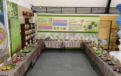 臺南南化遊客中心芒果大會師 吃買芒果順遊西拉雅美景