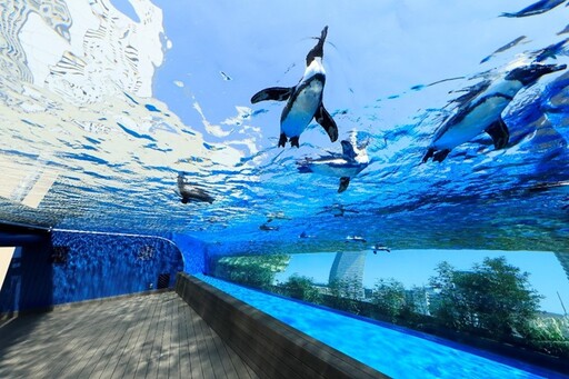 【東京水族館報告之一】池袋陽光水族館打造天空綠洲，觀賞在穹頂中漫游的企鵝！