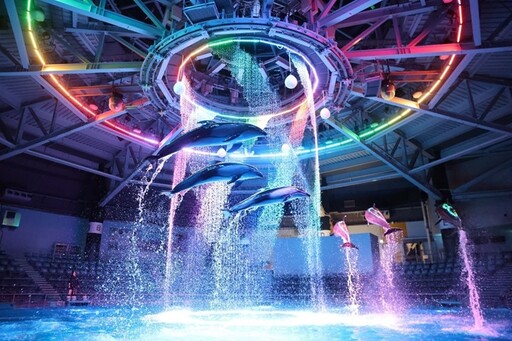 【東京水族館報告之二】品川水族館結合數位藝術與海洋生物，打造聲光幻影海豚秀！