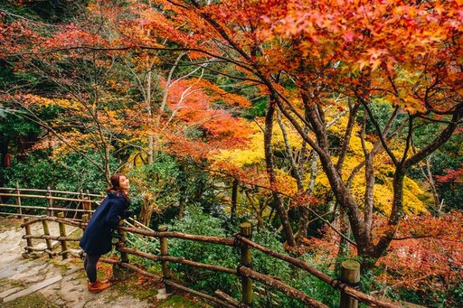 揭密日本楓葉季必遊景點 紅葉前線率先曝光！還可享早鳥優惠1,500元