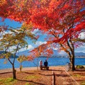 揭密日本楓葉季必遊景點 紅葉前線率先曝光！還可享早鳥優惠1,500元