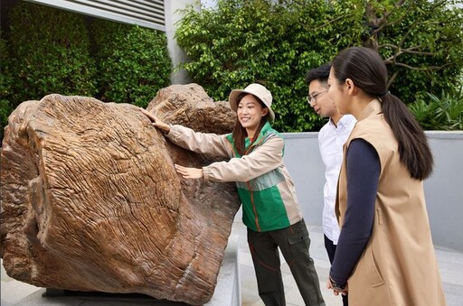 香港新景點「如心園」：全亞洲最大規模木化石藏品 獨特「娛＋學」體驗