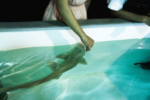 屏東海生館暑假驚喜不斷！來看鳳頭海鸚鵡情侶檔 體驗親手餵鯊魚