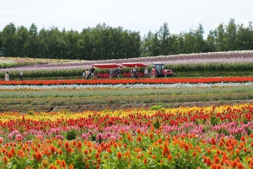 日本賞楓 早訂早享受！8/8-12限時優惠 每人省萬元再享最高8%回饋