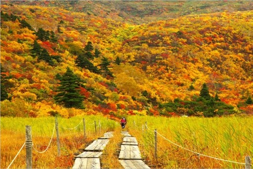 開始準備去岩手賞楓／日本最美的秋天紅葉地毯 in栗駒山須川岳