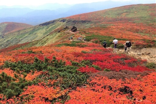 開始準備去岩手賞楓／日本最美的秋天紅葉地毯 in栗駒山須川岳