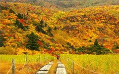 開始準備去岩手賞楓／日本最美的秋天紅葉地毯 in栗駒山須川岳