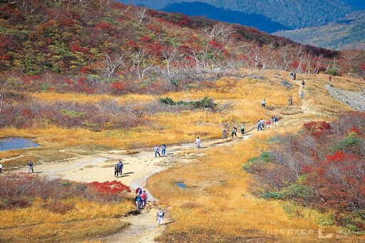 開始準備去岩手賞楓／日本絕美登山紅葉鑑賞團，3900日圓當天來回新手入門也OK！