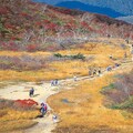 開始準備去岩手賞楓／日本絕美登山紅葉鑑賞團，3900日圓當天來回新手入門也OK！