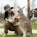 東北角「台灣好行」親子旅遊提案！九份芋圓、龜山島賞鯨豚、壯圍牛學堂主題套票熱賣中