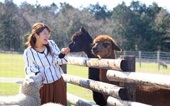 東京近郊旅行首選 來千葉縣吃鰻魚、搭船遊東京灣、牧場體驗樂趣多