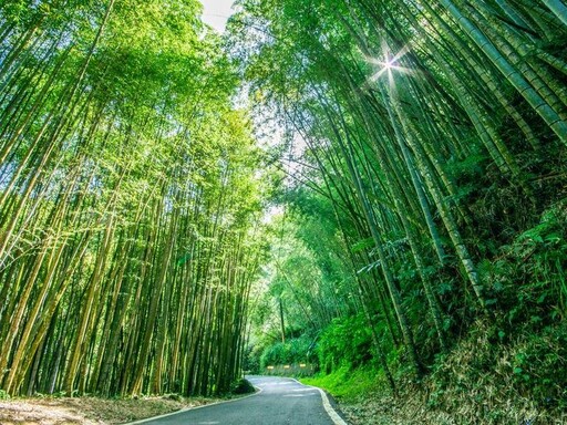 嘉義「解憂山城」瑞里2日慢旅：人氣美食、咖啡、步道、旅宿全收錄