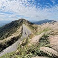 東北角芒花季主題小旅行開賣！秘境賞芒吃美食泡暖湯